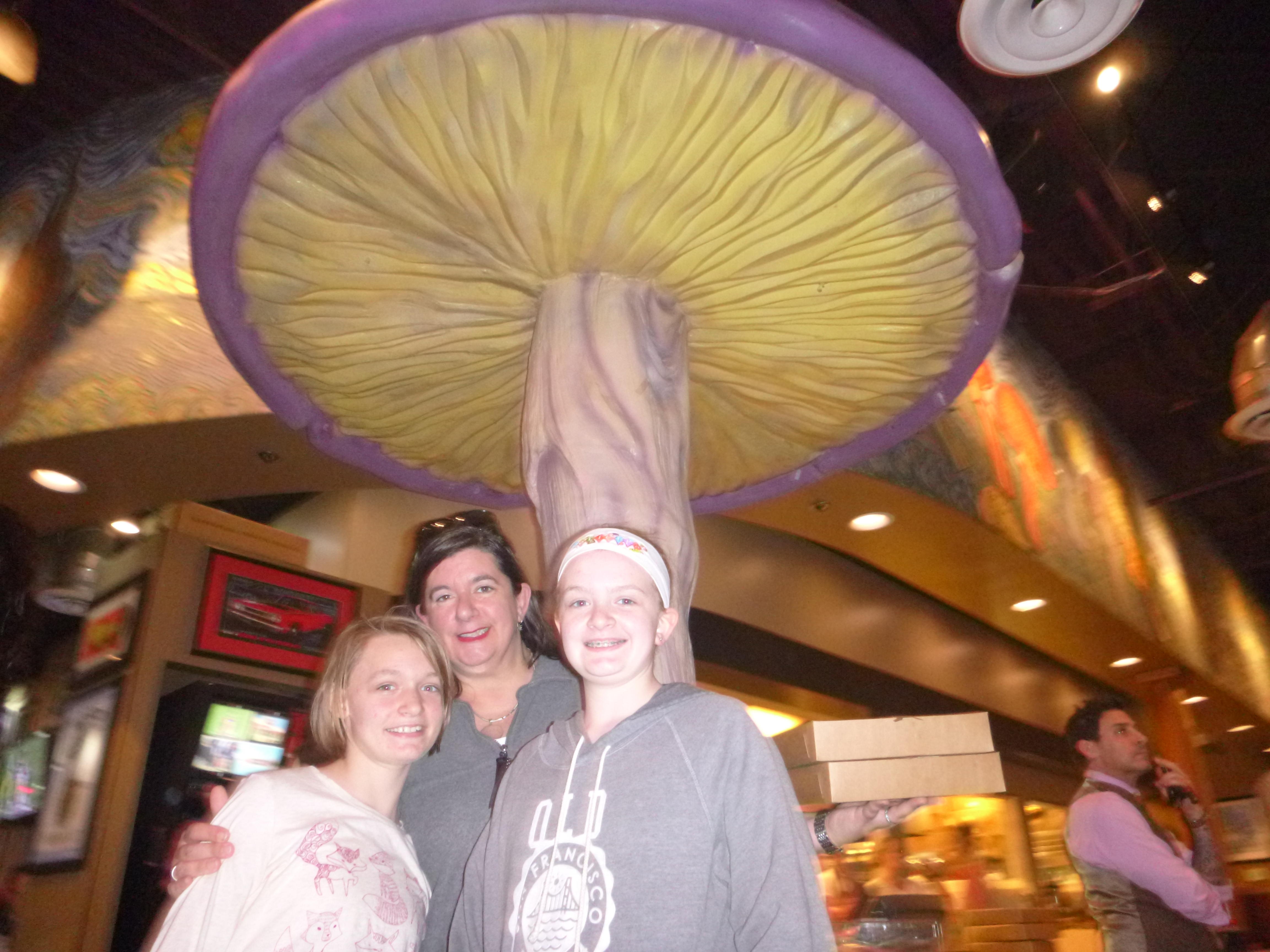 2014-11-22 Mellow Mushroom BJC.jpg